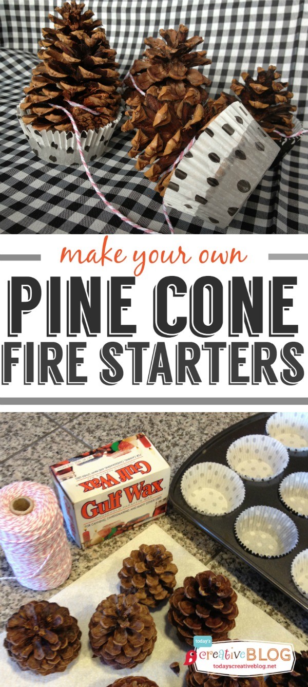 Pine Cone Fire Starters DIY - Today's Creative Life